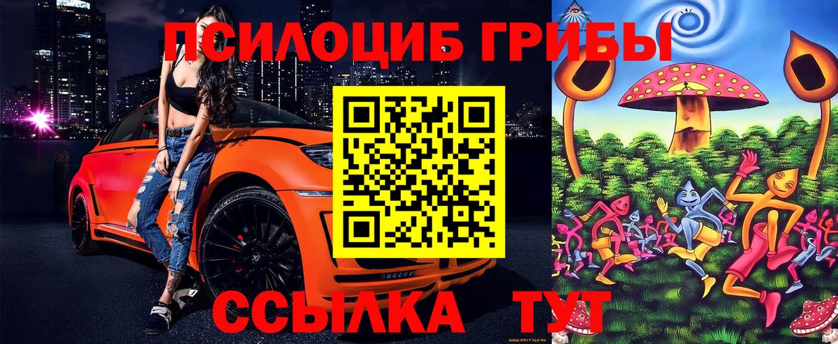 Псилоцибиновые грибы MAGIC MUSHROOMS  Псилоцибиновые грибы мухоморы  Вход с VPN  Рыбинск 