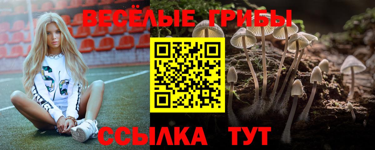 Галлюциногенные грибы GOLDEN TEACHER Рыбинск